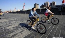 西安自行车爆料视频最新,街头奇观引发热议，揭秘城市交通新现象